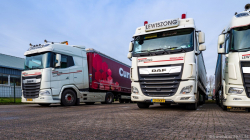 20251129-Lewiszong-00044